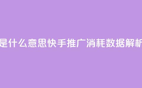 快手推广消耗数据是什么意思 - 快手推广消耗数据解析与意义解读! 第1张 快手推广消耗数据是什么意思 - 快手推广消耗数据解析与意义解读! 第1张