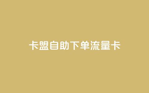 卡盟自助下单流量卡 - 自助下单流量卡升级体验! 第1张 卡盟自助下单流量卡 - 自助下单流量卡升级体验! 第1张