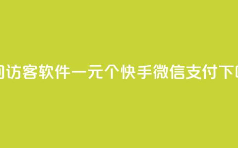QQ空间访客软件 - 一元10个快手微信支付 第1张 QQ空间访客软件 - 一元10个快手微信支付 第1张