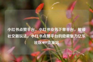 小红书点赞平台，小红书业务下单平台，解锁社交新玩法，小红书点赞平台的隐藏魅力亿乐社区SUP货源站
