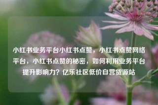 小红书业务平台小红书点赞，小红书点赞网络平台，小红书点赞的秘密，如何利用业务平台提升影响力？亿乐社区低价自营货源站