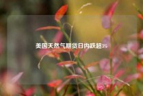 美国天然气期货日内跌超3%