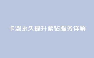 卡盟永久提升紫钻服务详解