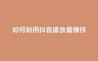 如何利用抖音播放量赚钱