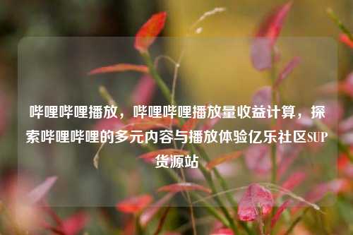哔哩哔哩播放，哔哩哔哩播放量收益计算	，探索哔哩哔哩的多元内容与播放体验亿乐社区SUP货源站  第1张