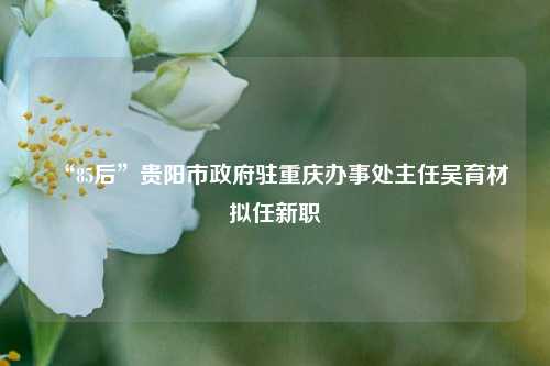 “85后”贵阳市政府驻重庆办事处主任吴育材拟任新职  第1张