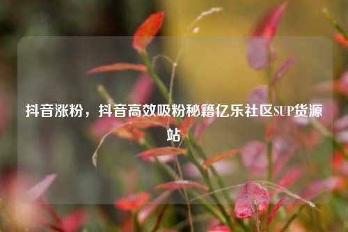 抖音涨粉	，抖音高效吸粉秘籍亿乐社区SUP货源站  第1张