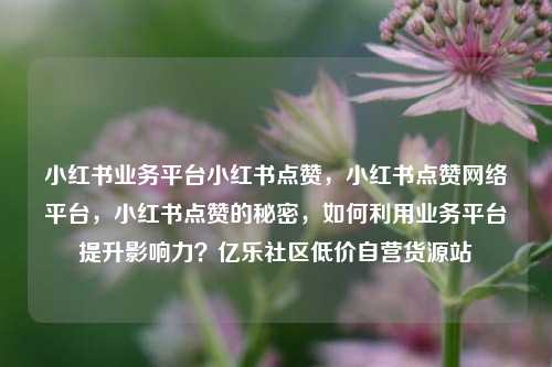 小红书业务平台小红书点赞	，小红书点赞网络平台，小红书点赞的秘密，如何利用业务平台提升影响力？亿乐社区低价自营货源站  第1张