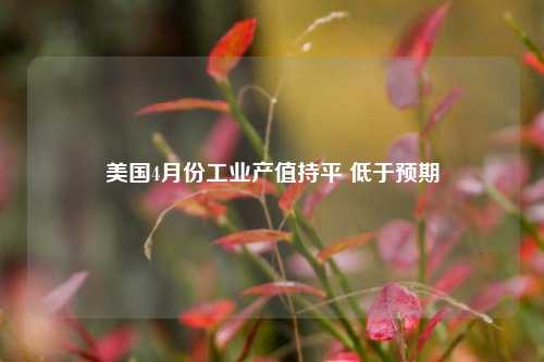 美国4月份工业产值持平 低于预期  第1张