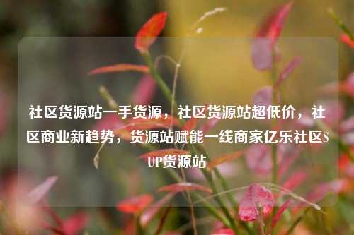 社区货源站一手货源	，社区货源站超低价，社区商业新趋势，货源站赋能一线商家亿乐社区SUP货源站  第1张