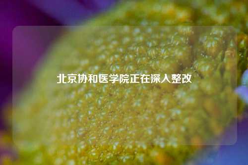 北京协和医学院正在深入整改  第1张