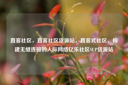 直客社区，直客社区货源站，直客式社区	，构建无缝连接的人际网络亿乐社区SUP货源站  第1张