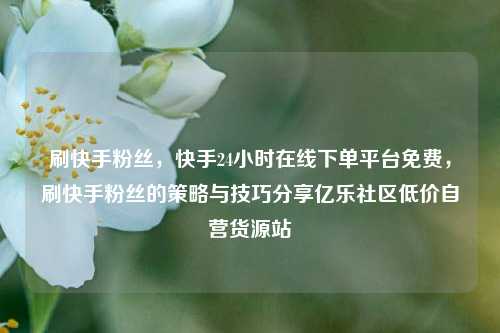 刷快手粉丝，快手24小时在线下单平台免费	，刷快手粉丝的策略与技巧分享亿乐社区低价自营货源站  第1张