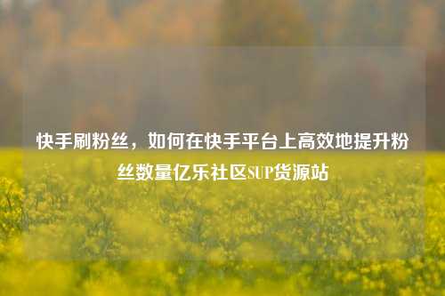 快手刷粉丝	，如何在快手平台上高效地提升粉丝数量亿乐社区SUP货源站  第1张