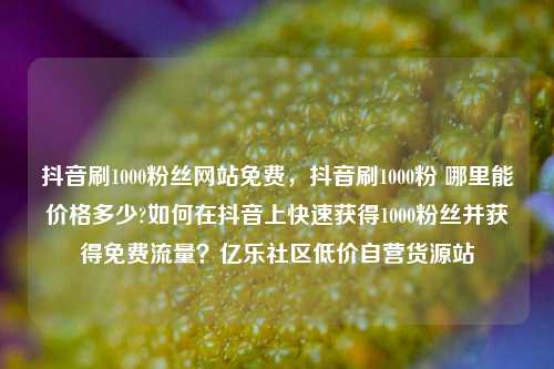 抖音刷1000粉丝网站免费，抖音刷1000粉 哪里能价格多少?如何在抖音上快速获得1000粉丝并获得免费流量？亿乐社区低价自营货源站  第1张