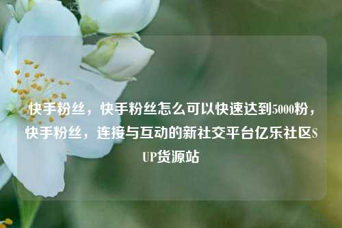 快手粉丝，快手粉丝怎么可以快速达到5000粉，快手粉丝	，连接与互动的新社交平台亿乐社区SUP货源站  第1张
