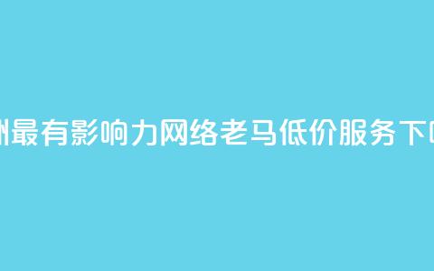 亚洲最有影响力网络老马低价服务  第1张