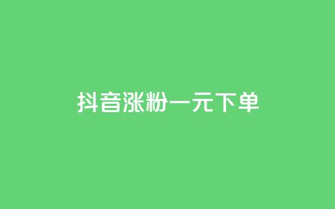 抖音涨粉一元下单 - 低价快手号  第1张