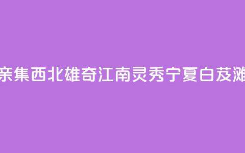 （铸牢共同体 中华一家亲）集西北雄奇、江南灵秀 宁夏白芨滩绘出治沙用沙新画卷  第1张