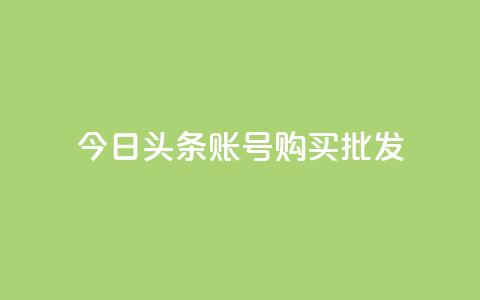 今日头条账号购买批发 - 今日头条账号批发购买指南与建议~  第1张