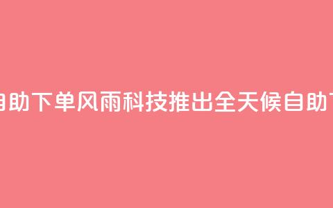 风雨科技24小时自助下单 - 风雨科技推出全天候自助下单服务。  第1张