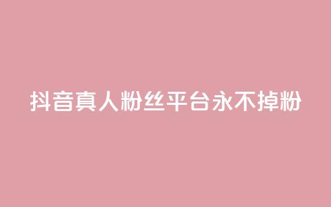抖音真人粉丝平台 永不掉粉,qq空间偷看工具2024 - 抖音点赞清理器 快手24小时业务平台  第1张