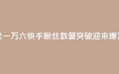 快手粉丝一万六(快手粉丝数量突破16K，迎来爆发式增长)  第1张