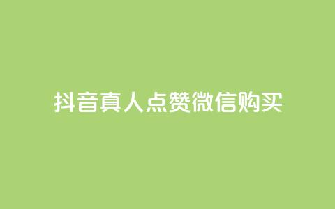抖音真人点赞微信购买,快手低价二十四小时下单平台 - KS直播业务下单平台 qq业务网站免费  第1张