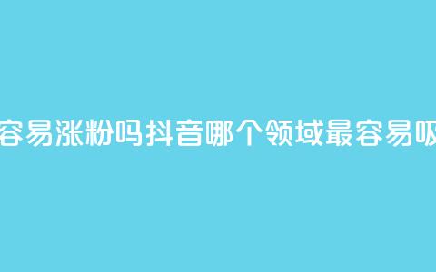 抖音做什么赛道最容易涨粉吗 - 抖音哪个领域最容易吸引粉丝增长。  第1张
