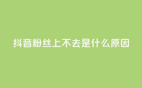 抖音粉丝上不去是什么原因 - 抖音粉丝增长缓慢的原因分析与解决方案! 第1张 抖音粉丝上不去是什么原因 - 抖音粉丝增长缓慢的原因分析与解决方案! 第1张