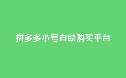 拼多多小号自助购买平台,qq24小时全自助下单网站 - qq会员官网个人中心 抖音1比10币充值链接微信怎么弄  第1张