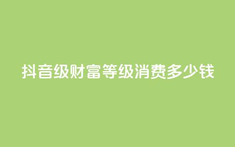 抖音24级财富等级消费多少钱 - 抖音财富等级24级消费金额是多少？!  第1张