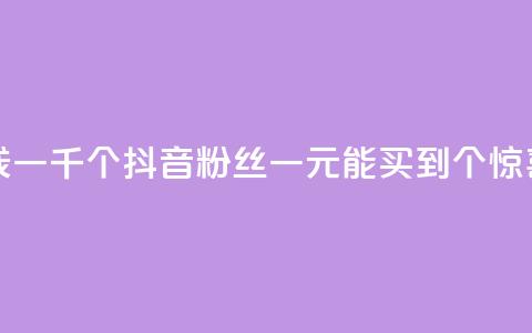 抖音粉丝一块钱一千个 - 抖音粉丝一元能买到1000个？惊喜大揭秘！~  第1张