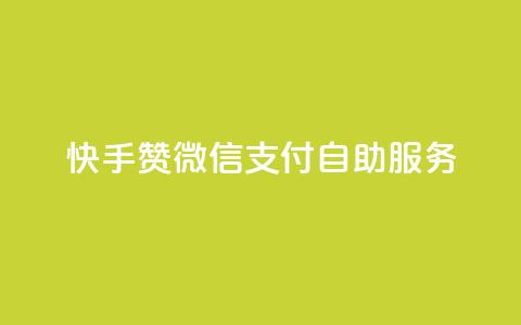 快手赞微信支付自助服务 第1张 快手赞微信支付自助服务 第1张