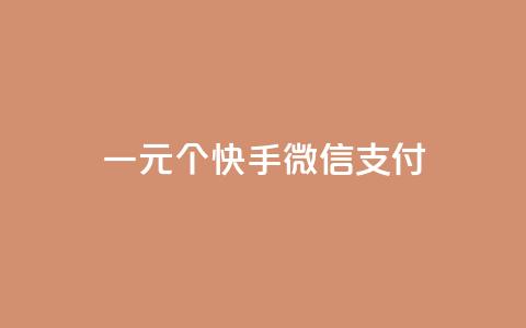 一元10个快手微信支付 - 快手点器怎样使用视频教程 第1张 一元10个快手微信支付 - 快手点器怎样使用视频教程 第1张