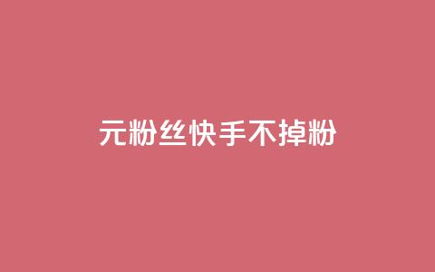 1元3000粉丝快手不掉粉 - 1元在快手增加3000粉丝，轻松不流失!  第1张