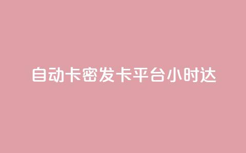 自动卡密发卡平台24小时达  第1张