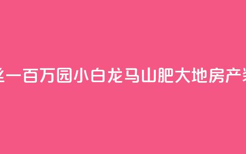 快手粉丝一百万0.01园小白龙马山肥大地房产装修网站,免费qq空间网站点赞 - 抖音粉丝投了钱会兽多久 低价Ks一毛1000粉  第1张