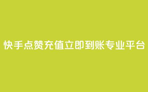 快手点赞充值立即到账专业平台 第1张 快手点赞充值立即到账专业平台 第1张