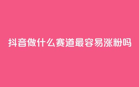 抖音做什么赛道最容易涨粉吗 - 利云卡盟  第1张