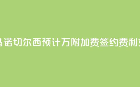 罗马诺：切尔西预计3400万+附加费签约费利克斯  第1张