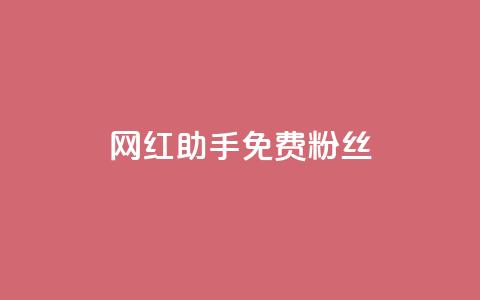网红助手免费粉丝,快手秒赞入口软件下载 - qq空间浏览量增加访客数不变 qq会员免费网  第1张