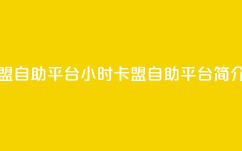 24小时卡盟自助平台(24小时卡盟自助平台简介)  第1张