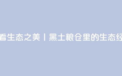 看生态之美丨黑土粮仓里的生态经  第1张