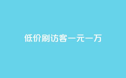 低价刷访客一元一万 - 快手一分钱一万个播放  第1张