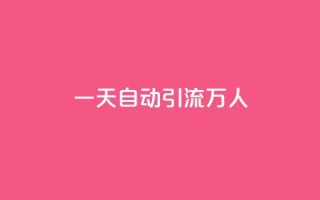 qq一天自动引流5万人,ks双参注册机 - qq超级会员代充网站便宜 - 抖音快速涨1000个