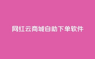 网红云商城自助下单软件,dy业务自助下单在线 - 抖音快手业务网 - dy低价下单平台闪电