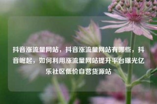 抖音涨流量网站，抖音涨流量网站有哪些，抖音崛起，如何利用涨流量网站提升平台曝光亿乐社区低价自营货源站