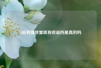 b站有播放量就有收益吗是真的吗