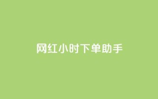 网红24小时下单助手,扣扣卡盟官网 - 口碑最好的美容仪 - 卡盟低价自助下单网易云